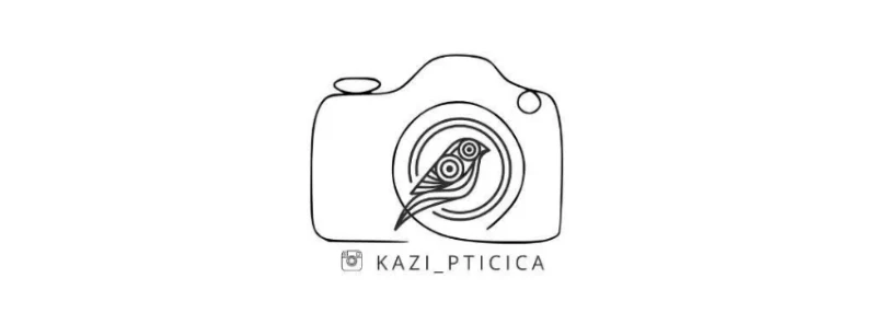 Kaži ptičica
